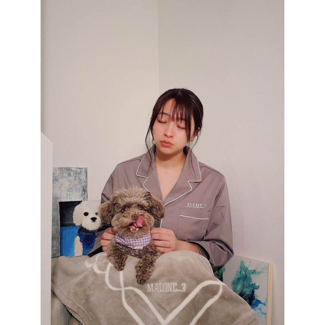 水崎綾女さんのインスタグラム写真 - (水崎綾女Instagram)「swipe→→→→→→  5枚目がほんとうのわたし。笑  #hotel #hotellikeinterior #present #プレゼント #パジャマ #ホテルライクインテリア #birthday #april #426 #いぬ #犬のいる暮らし #dog」4月28日 20時53分 - misakiayame