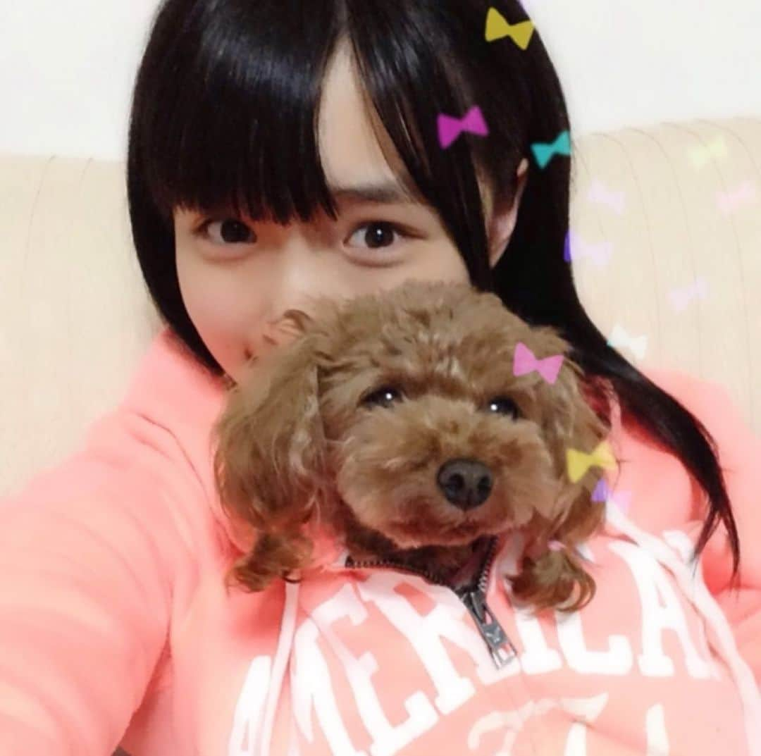 大森美優のインスタグラム：「（一枚目）10年前のしおん🐩と私。 　　↓ （二枚目）その10年後の現在。  しっかり尻に敷かれております🐩  #トイプードル  #愛犬  #詩音  #実は漢字の名前 #仲良し （?）」