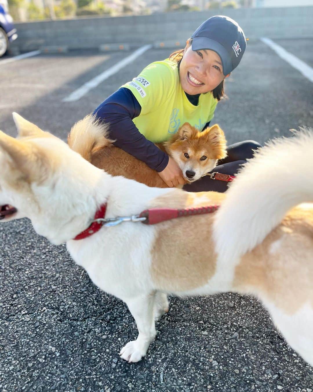 尾崎里紗のインスタグラム：「会員さんのワンちゃん、くるみちゃんとももちゃん🐶 すごく人懐っこくて毛がサラサラで可愛かった〜✨   ⁡ ⁡ ⁡」
