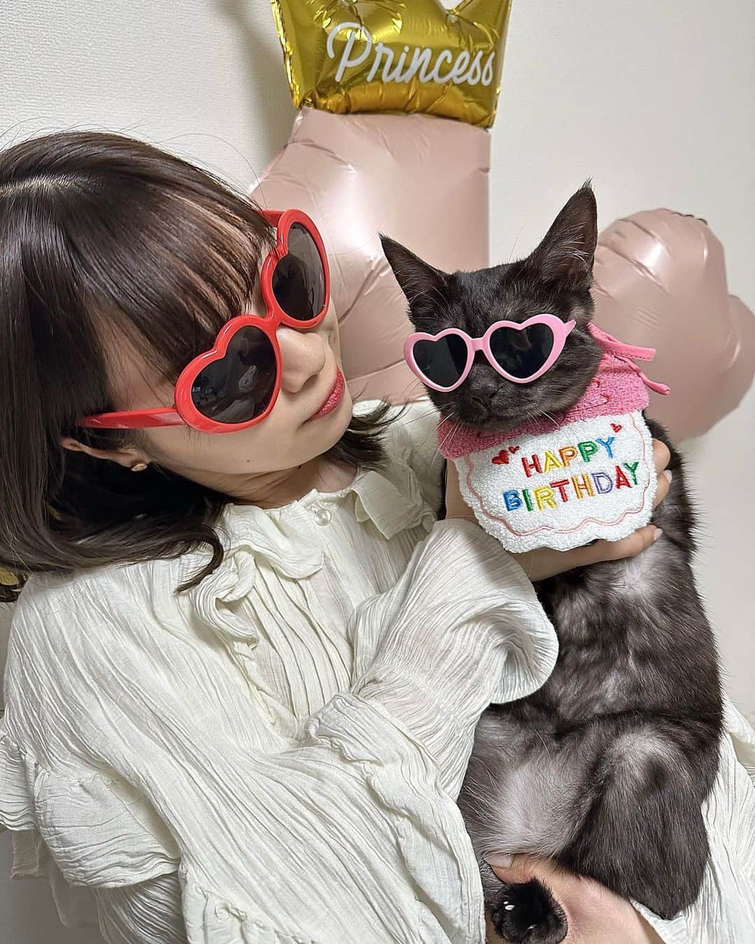 青木詩織のインスタグラム：「. ぐみちゃん1歳のお誕生日🎂🥳  たぶん4月うまれと言われたので勝手に...笑 マイペースで甘えん坊で、 ぷくぷくつやつやに育ってくれてありがとう💐  これからもいっぱいあそんで大きくなってね🐱🤍」