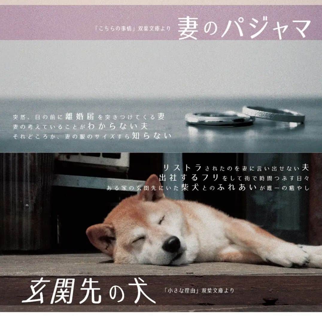 せいのゆみのインスタグラム：「明日から始まります 家族草子  朗読 わりとたくさん観てきましたけど 家族草子は本当に面白い  で、今回参加させていただきました ありがとうございます  出演&演出　青山伊津美さん（3枚目の写真のおっちゃん）  15年来の飲み友達兼師匠  15年を思うと 成長した自分に拍手したい（笑） 学ぶことの楽しさよ」