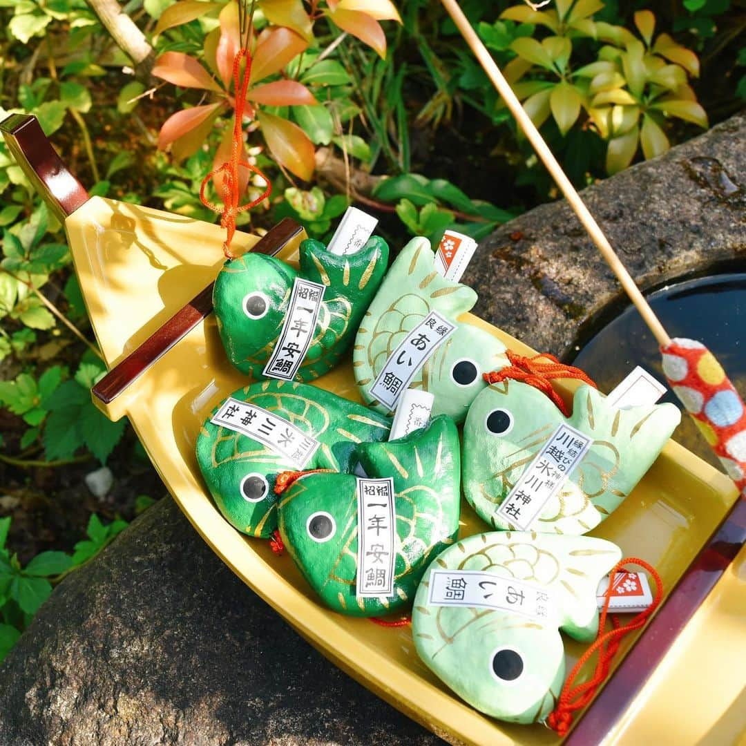 川越氷川神社さんのインスタグラム写真 - (川越氷川神社Instagram)「. 新緑眩い季節です。明日4月29日より、#一年安鯛みくじ と #あい鯛みくじ に新色が入ります。  #川越氷川神社  #鯛みくじ #釣るおみくじ  #おみくじ #鯉ではありません  #緑 #新緑 #omikuji  #埼玉 #川越 #kawagoe  #kawagoehikawashrine」4月28日 21時37分 - kawagoe_hikawa