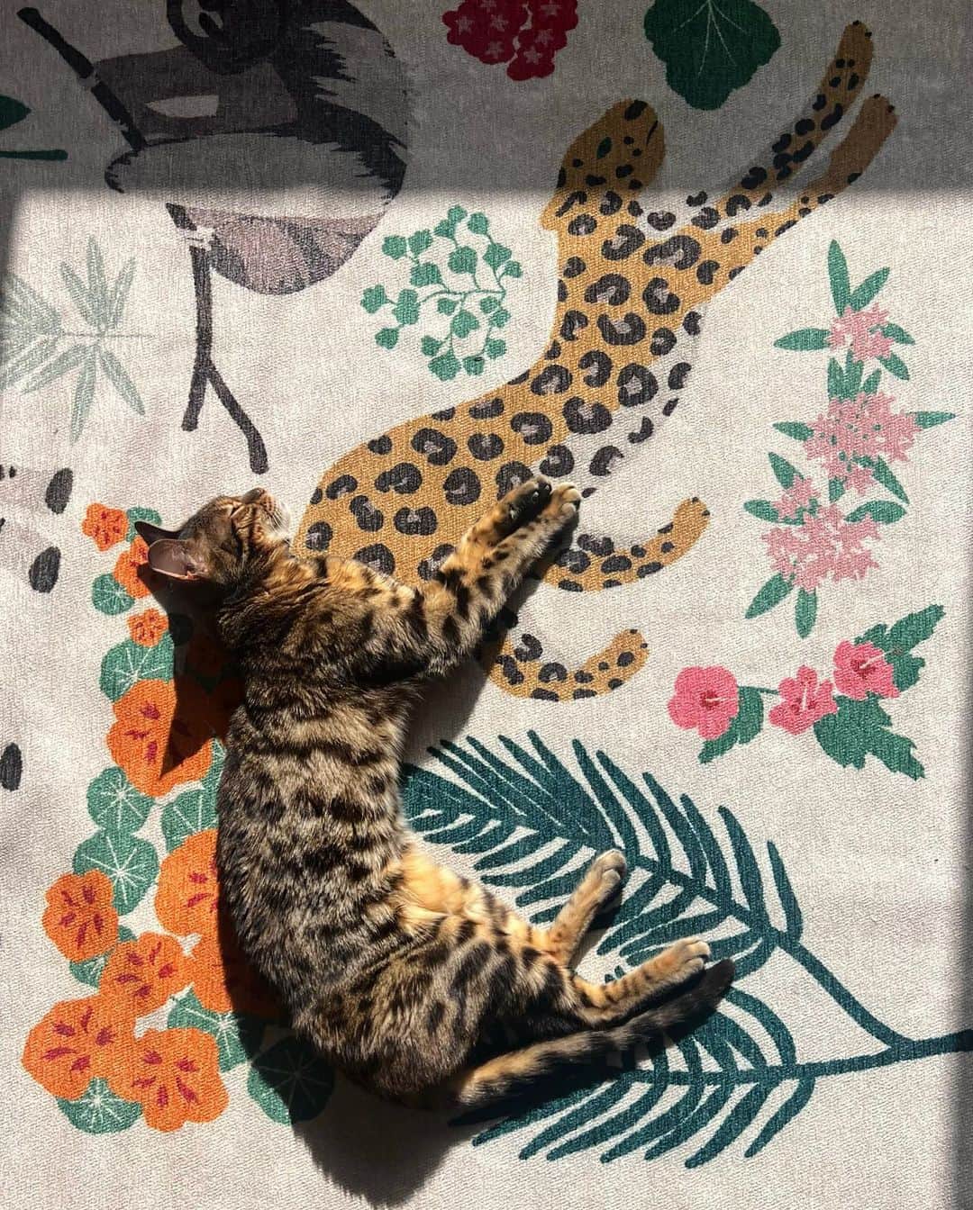 ハーレー・ヴィエラ・ニュートンのインスタグラム：「Life imitating art」