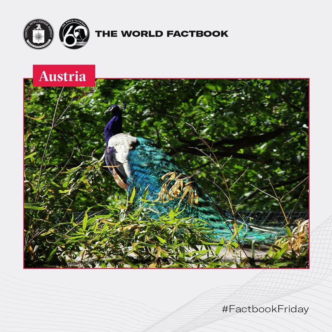 CIAのインスタグラム：「It turns out that birds ARE real… and this one lives at the oldest operating zoo in the world! This week's Factbook Friday highlights Schoenbrunn Tiergarten (Zoo) in Vienna, Austria.   #FactbookFriday #Austria」