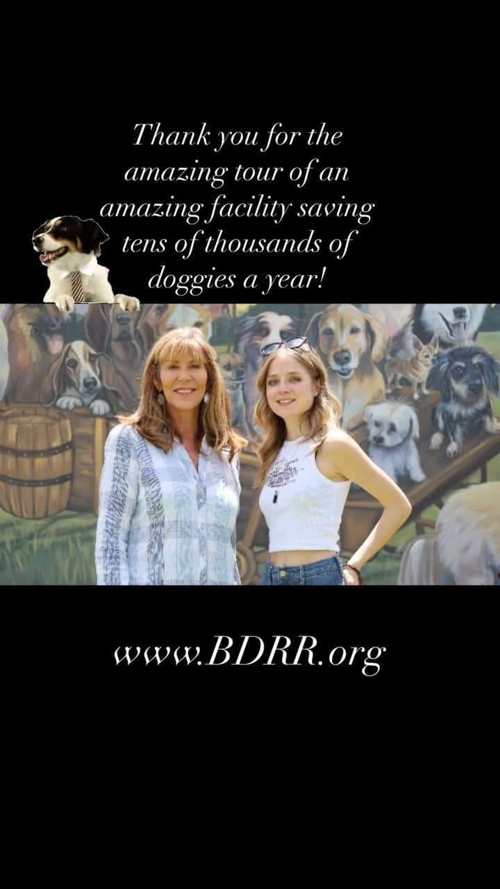 ジャッキー・エヴァンコのインスタグラム：「Most of you know I love animals and my visit to Big Dog Ranch Rescue is one that I will always remember! Thank you Lauree Simmons! What you do for so many dogs is amazing!  Visit www.BDRR.org to learn more about this amazing no kill dog shelter!! ❤️  #puppies #dogs #animalshelter #puppylove #doggo」