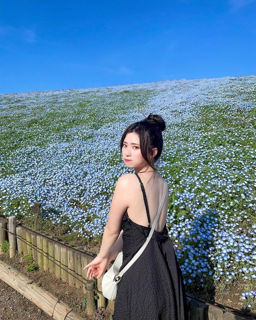 伊藤奈月さんのインスタグラム写真 - (伊藤奈月Instagram)「⁡ 先週のネモフィラ畑🪞🫧 ⁡ 見頃期のちょうど ど真ん中の日に 行ってきました🎪 ⁡ 何度も国営ひたち海浜公園の ネモフィラ行ってるけれど、 やっぱり ここが1番広くて、 青がいっぱい🫶🏻🫶🏻 ⁡ 本当は来週あたりに行こうと思ってたけれど 今年は 満開が早くて、急遽 先週に💨 ⁡ #ネモフィラ  #ネモフィラ畑 #青  #国営ひたち海浜公園」4月28日 23時25分 - naachan__