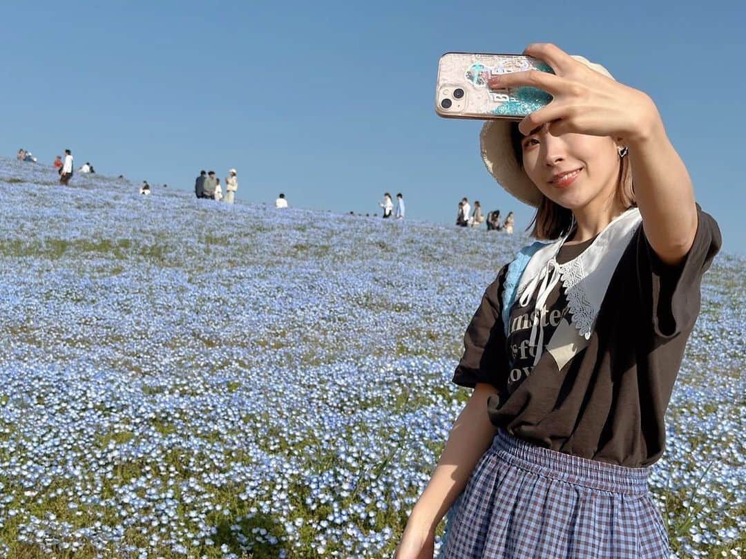 岩佐美咲のインスタグラム：「今週も1週間、お疲れ様でしたー！！！　　　　　　　　　　　　　 　　　　　　　　　　　　　　　　　　 #ネモフィラ #ネモフィラ畑 #菜の花 #ひたち海浜公園 #花 #花畑 #お花 #お花畑」