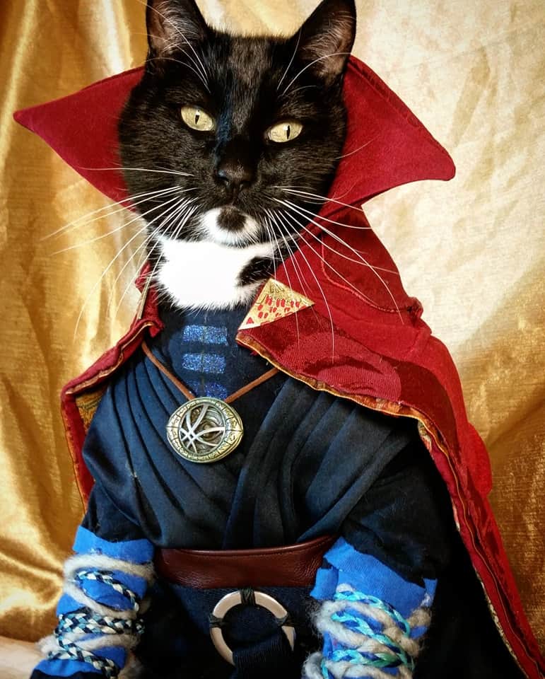 猫コスプレさんのインスタグラム写真 - (猫コスプレInstagram)「"Dor-meow-mu, I’ve come to bargain!"  #SuperHeroDay #DoctorStrange . . . . . . #catcosplay #cosplay #cosplayer #cat #catcostume #catsinclothes #petclothes #PetCostume #marvel #mcu #drstrange #doctorstrangecosplay #marvelcosplay #nationalsuperheroday」4月29日 0時57分 - cat_cosplay