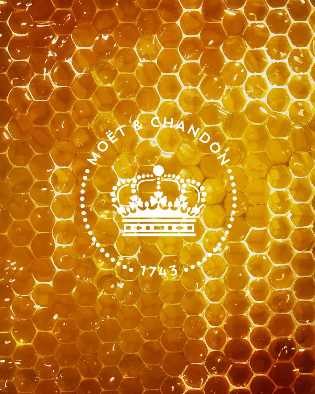 Moët & Chandon Officialのインスタグラム：「The taste of smoldering light. Grand Vintage Collection 1999's bouquet reveals warm notes of roasted coffee and licorice, while the dark notes of its palate are nuanced by a smooth touch of honey and candied grapes.⁣ ⁣ #GrandVintage #MoetChandon ⁣ ⁣ This material is not intended to be viewed by persons⁣ under the legal alcohol drinking age or in countries⁣ with restrictions on advertising on alcoholic beverages.⁣ ENJOY MOËT RESPONSIBLY.」
