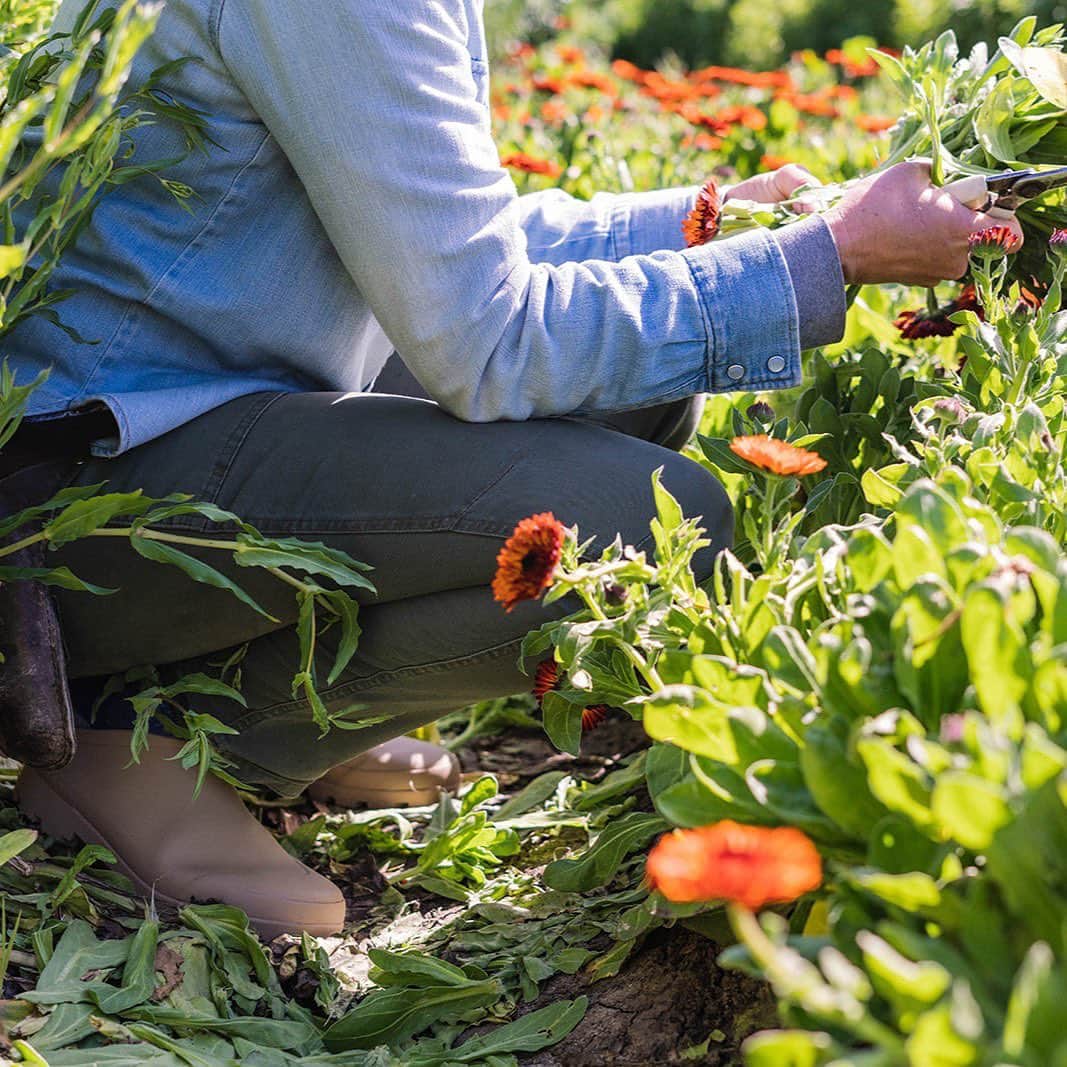 シービーズのインスタグラム：「CLOG GIVEAWAY 🌸  Fresh off the heels of our SeaVees x The Ecology Center partnership, we’re giving you the chance to win a pair of our new best-selling Bodega Clogs for yourself and two friends. Perfect for foodies, foraging in the garden, hitting the farmer’s market, and everything in-between. Plus, 10% of sales are donated to The Ecology Center. See how to enter below!  👉 Follow @seavees x @theecologycenter  👉 Like this post 👉 Tag 2 friends in the comments  Good Luck! 🤞   *Giveaway ends at 6 PM PST on 5/5/23. The winner will be randomly selected & contacted via DM in the coming days. Open to US residents only. The contest is not affiliated with Instagram.  #giveaway #contest #explore」
