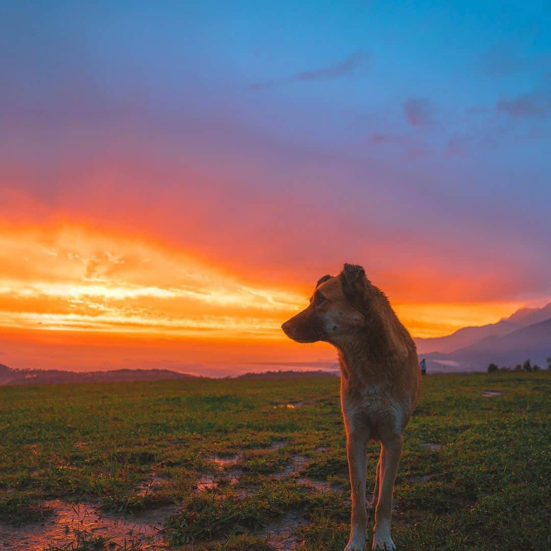 Abhinav Chandelさんのインスタグラム写真 - (Abhinav ChandelInstagram)「I found a million stories, Lying under the cloak, Of passing time, And I asked the nothingness, That prevailed over this magical kingdom, To tell me the way to freedom. And it said, Boy hop in will you, Let us take you, To a world new, Man will you spend, A moments few, To redeem what was never lost, Jack Kerouac, Robert Frost. I said, Is that a time machine, Taking me to where I've never been, To the worlds I've never seen? Oh yes my dear, So hop in, Pop in this pill, And stay still, For we will go, Where no one knows, From where they came, And isn't it a shame, To not be able to blame, Our origins for our fallacies. But don't you worry, Just hurry, For we are taking you back, To the future.」4月29日 1時39分 - abhiandnow