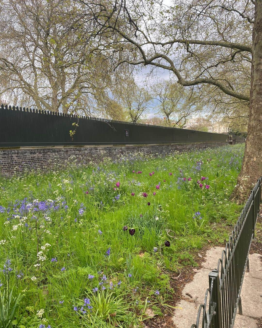 Marinet Mattheeさんのインスタグラム写真 - (Marinet MattheeInstagram)「The city I keep falling in love with #london 🫶」4月29日 3時27分 - marinetmatthee