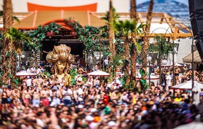 The Venetian Las Vegasのインスタグラム：「The Summer Premier Weekend kicks off TODAY at @TAOBeach with @cedricgervais, and continues with @followthefishtv on Saturday, & @sofitukker on Sunday. For tickets & reservations, tap the link in our bio. ✨🧡」