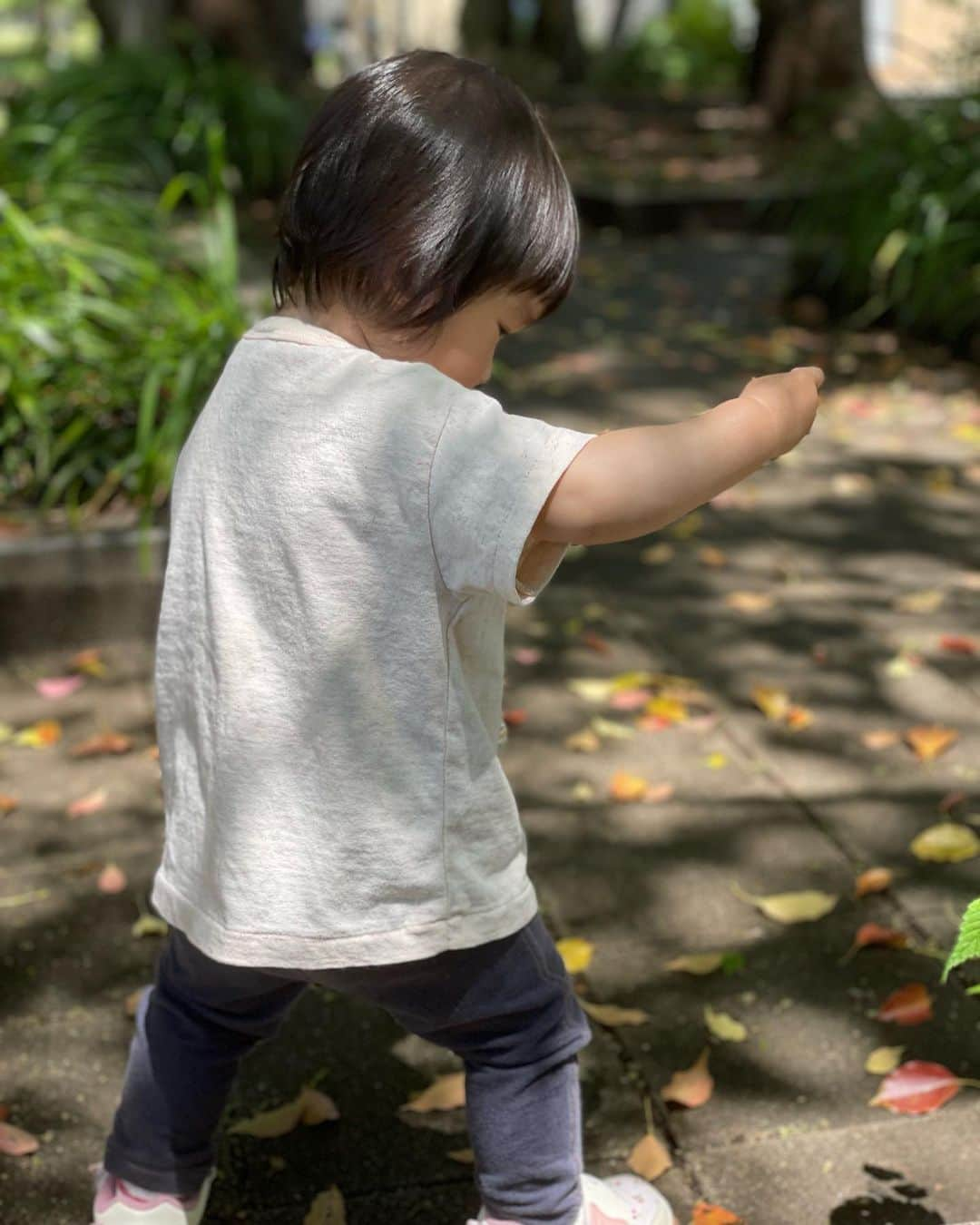 影山祥子のインスタグラム