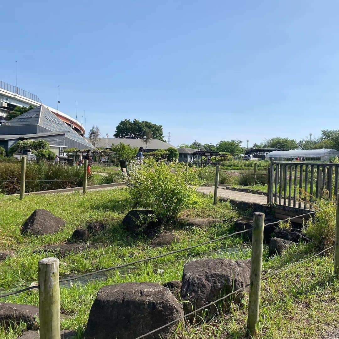 LINAさんのインスタグラム写真 - (LINAInstagram)「週末　#足立区都市農業公園 へ行ってきた🥕🥬  子供が産まれてからは子供の服ばかりで、 自分の服は汚れてどんどんなくなるから どうしようと思ってたんだけど  エアクローゼットは汚れたらそのまま返せるし 気に入ったら購入までできるよ♣️ それに、スタイリストと相談して 服を選んでくれるから可愛い服が届くのが嬉しい🧸  　️ 　　登録はこちらのインスタに記載があるリンクからできるよ！⇒ @aircloset_official  登録時にクーポンを入れると、ライトプラン（月額7,800円）から安くなるから絶対入れた方がお🉐 →『 tvuXG 』          @allry_pr 　　#PR or #プロモーション 　　#エアクロ応援企画 　　#aircloset 　　#エアクロ 　　#エアークローゼット  #ママファッション　#足立区観光  #ママ美容」4月29日 14時33分 - rinatea0519