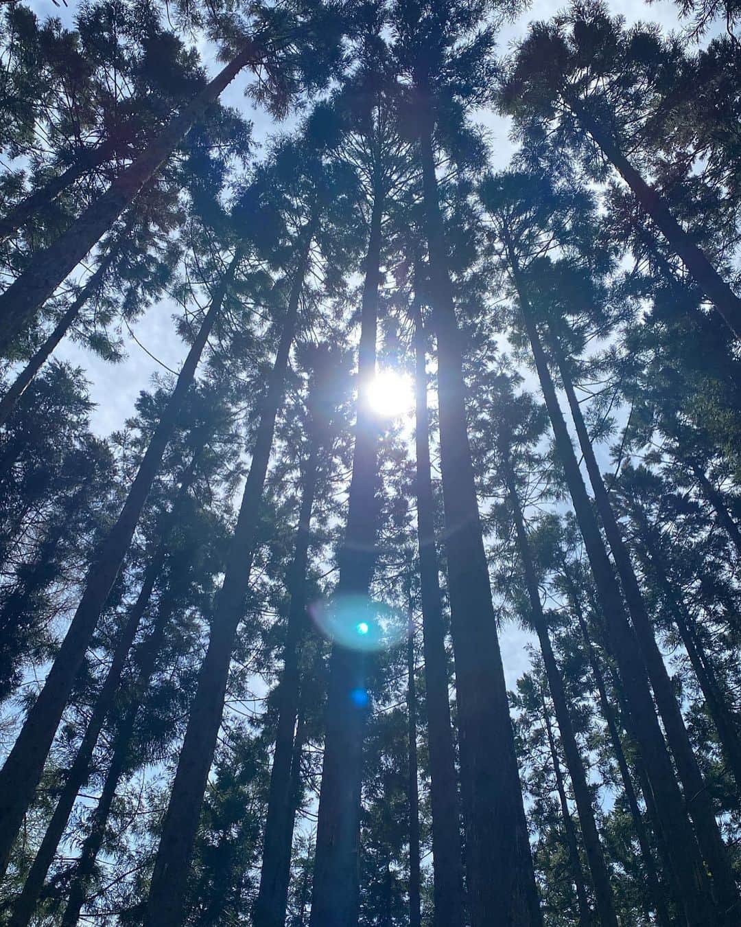 YUKI TAKESHIMAのインスタグラム：「長野県大町にあるカフェくんくんさんの向かえに中綱湖を見下ろす森の広場でヤナバの森マルシェが4/23開催されyUKITAKESHIMAブランドも初参加しました🌳  テーマは『循環』  きれいな空気においしい水、フカフカの大地に美しい森や植物たち。 それらを作リ出す環境はみんな繋がっている。山も海も大地も空も。人や動物、虫や魚も。  自然も動物も人間も みんな繋がって循環していることを忘れてはならない。  自然が教えてくれること。  マルシェで繋がった皆さんに感謝  @yanabaforestmarche  @kunkun.yanaba  @pacopeace  @bisou_yukitakeshima  #enhanceaday #BISOU #ヤナバの森マルシェ  #循環 #マルシェ初出店」