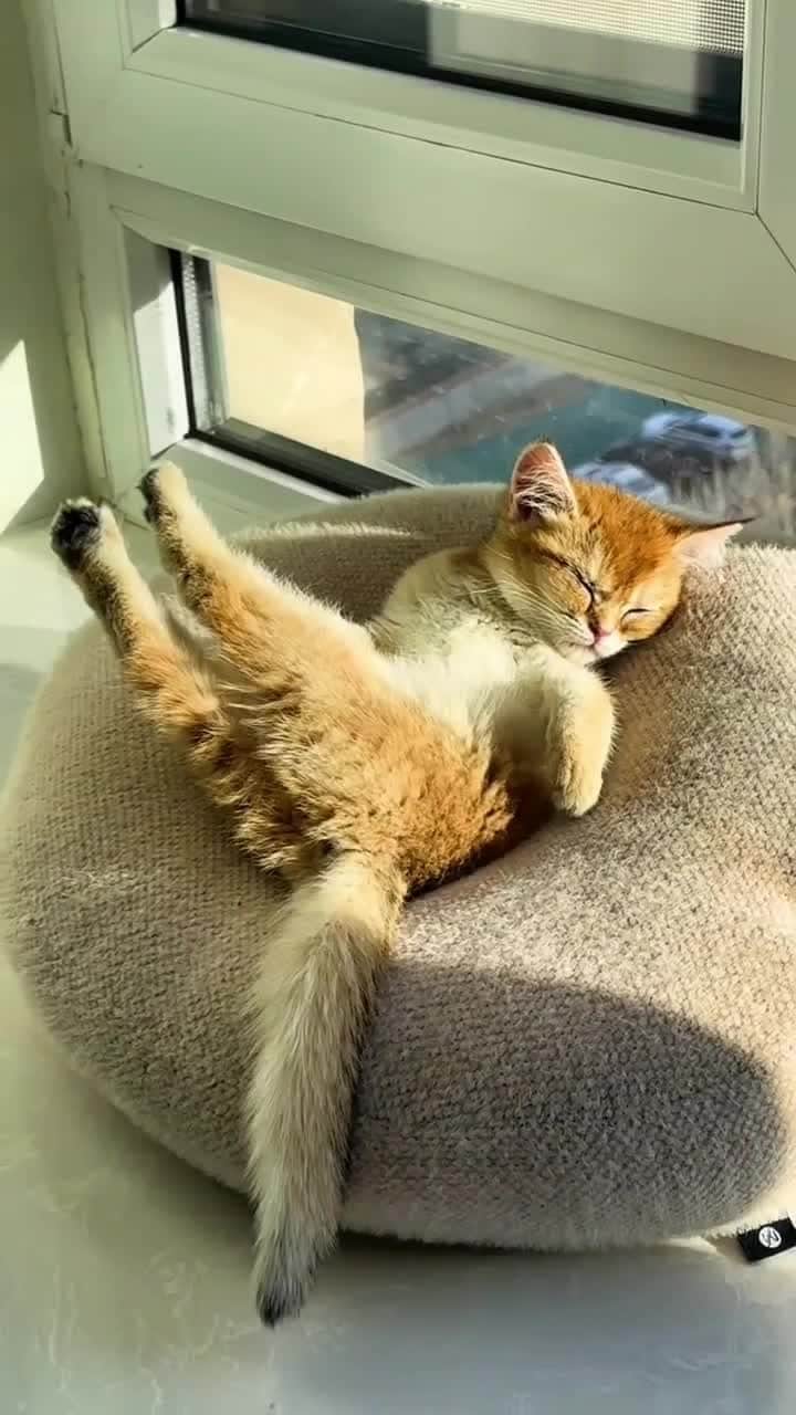 ジョジー・マランのインスタグラム：「Wake me up when it’s Monday. 🥱」