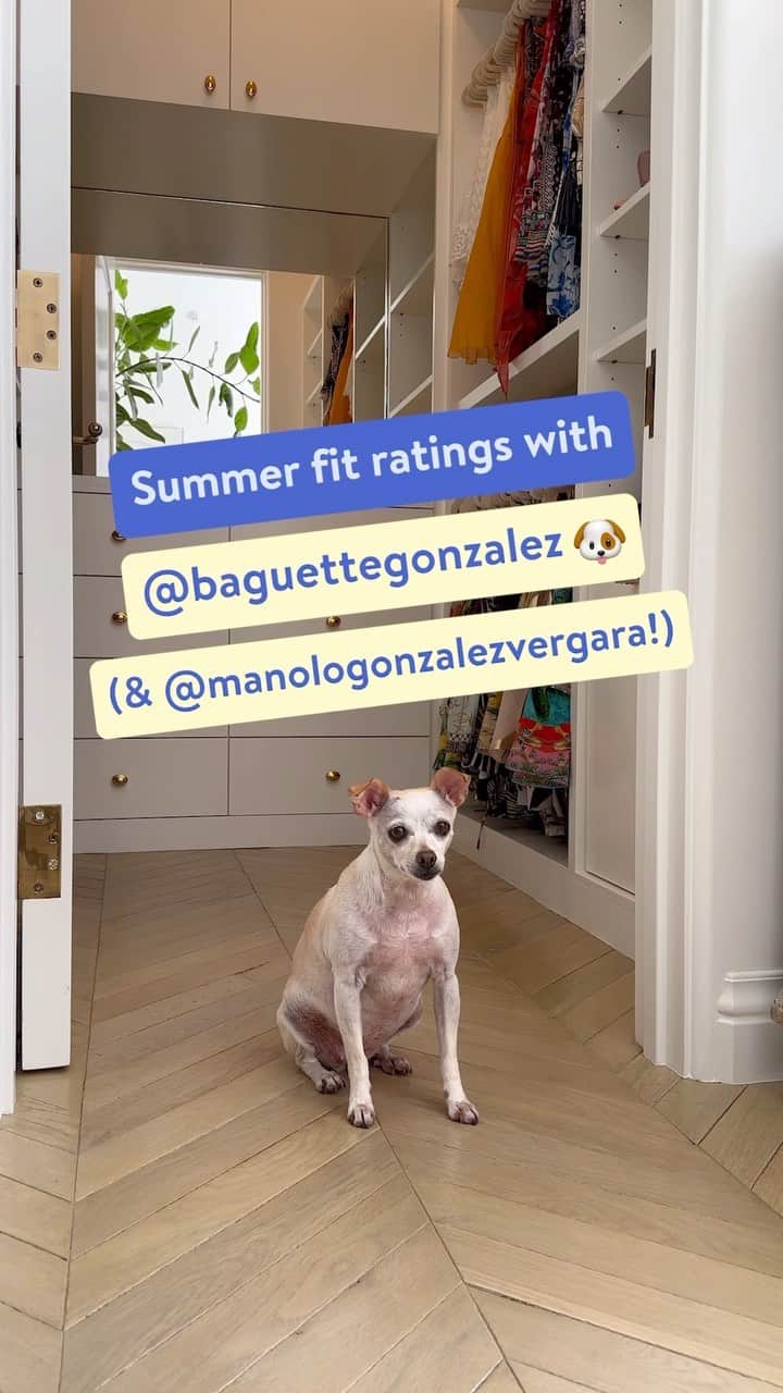 Wal-Mart Stores, Incのインスタグラム：「@baguettegonzalez is dressed to the (ca)nines for summer! 🐶 @manologonzalezvergara #DogsofInstagram #DogFashion」