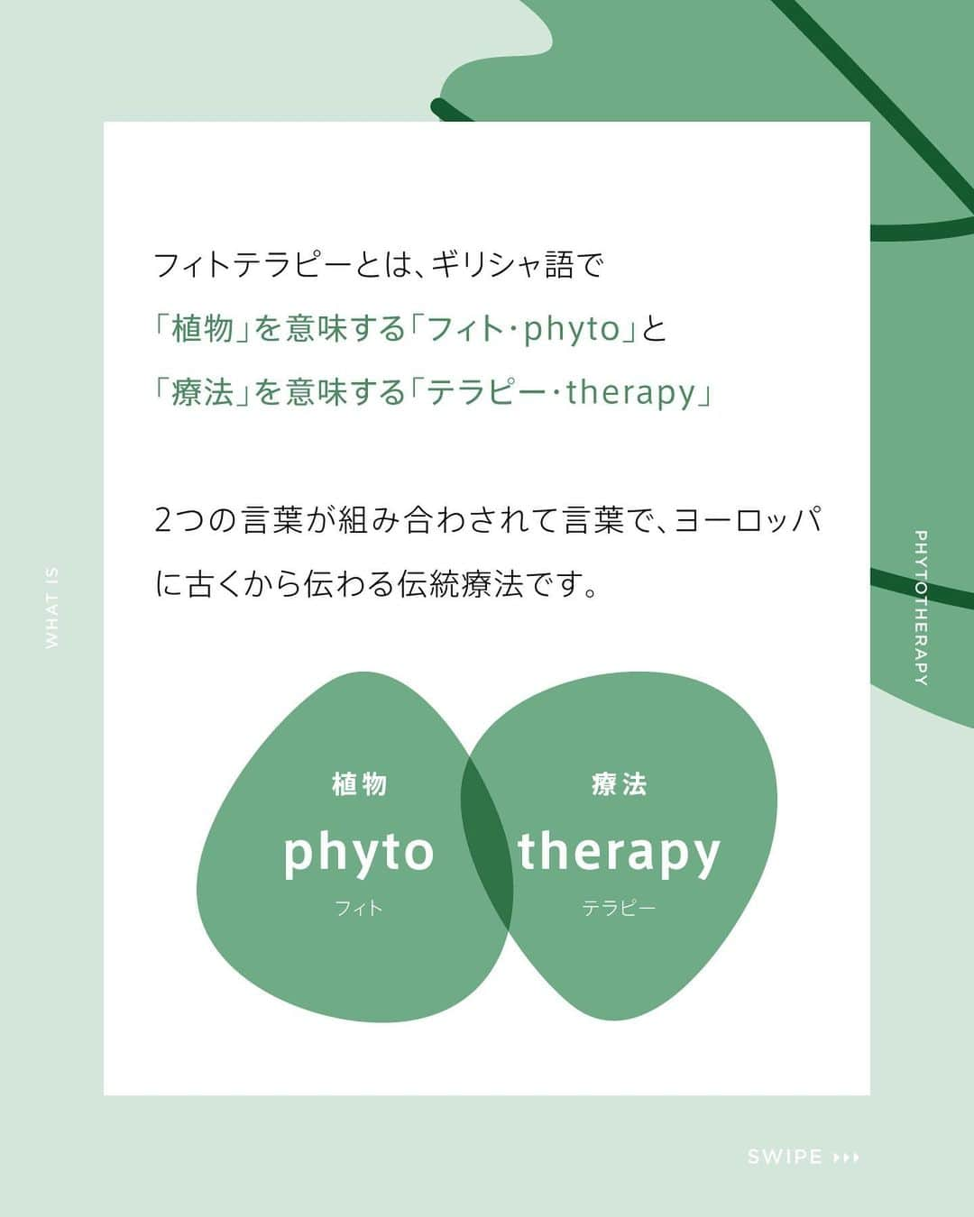 DANSKIN Japanさんのインスタグラム写真 - (DANSKIN JapanInstagram)「DANSKIN×PHYTOTHERAPY🌿  どんなときも、自分らしく健やかでいたいから。  心身を健やかに整えるための選択肢のひとつとして、 フィトテラピーを用いたお悩みのケア方法を【植物療法士 南上夕佳さん】とともに隔月でご紹介していきます。  2日目は、フィトテラピーの基本情報について。 近年注目が高まり耳にする機会も多くなったフィトテラピー。  そもそもフィトテラピーとは、ギリシャ語で「植物」を意味する「フィト・phyto」と「療法」を意味する「テラピー・therapy」という言葉で、ヨーロッパに古くから伝わる伝統療法です。  植物の薬理効果を用いて病気の予防やケア、不調のケア、美容、出産や介護、スポーツまで広く活用されています。ヨーロッパ諸国では、医療の中に植物療法が取り入れられていたり、ハーブだけを扱う薬局「エルボリステリア」が存在します。  特に女性は生理やPMS、更年期などのシーンで使えるものがたくさん！ 隔月でご紹介していきますので、扱ってほしいテーマやお悩みがありましたらぜひコメントやDMにお寄せください。今後のテーマの参考にさせていただきます🌿  #danskin #danskinjapan #ダンスキン #こころとからだ #わたしを生きる #phytotherapy #フィトテラピー #植物療法 #植物療法士」4月29日 8時23分 - danskin_japan