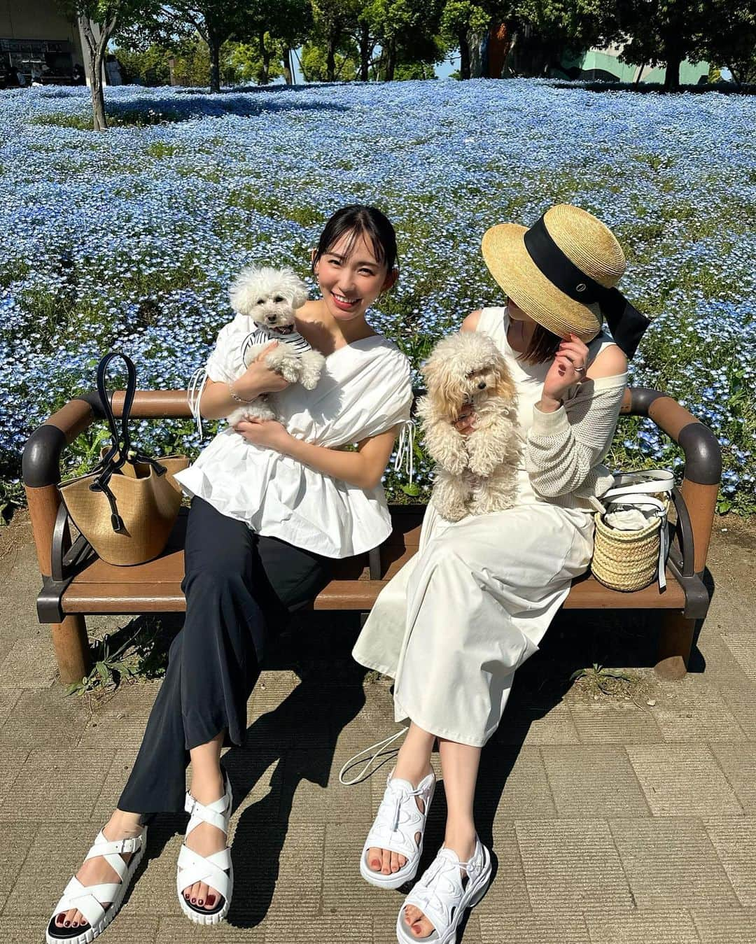 shizuka.watanabeさんのインスタグラム写真 - (shizuka.watanabeInstagram)「【舎人公園】に行ってきたよ♡  しらたまと🐶 @rococo39 のわんこも連れて ネモフィラ畑に行ってきました♪  小さく揺れてるブルーのネモフィラが綺麗で💙  お天気も良くて最高だった!!! GWのお出掛けにぴったりだよー♪  〒121-0837 東京都足立区舎人公園1丁 目1  舎人公園  #舎人公園　#ネモフィラ　#ネモフィラ畑 #ネモフィラブルー #gwお出掛け　#犬とお出かけ #犬のいる暮らし」4月29日 8時23分 - shizuka.watanabe