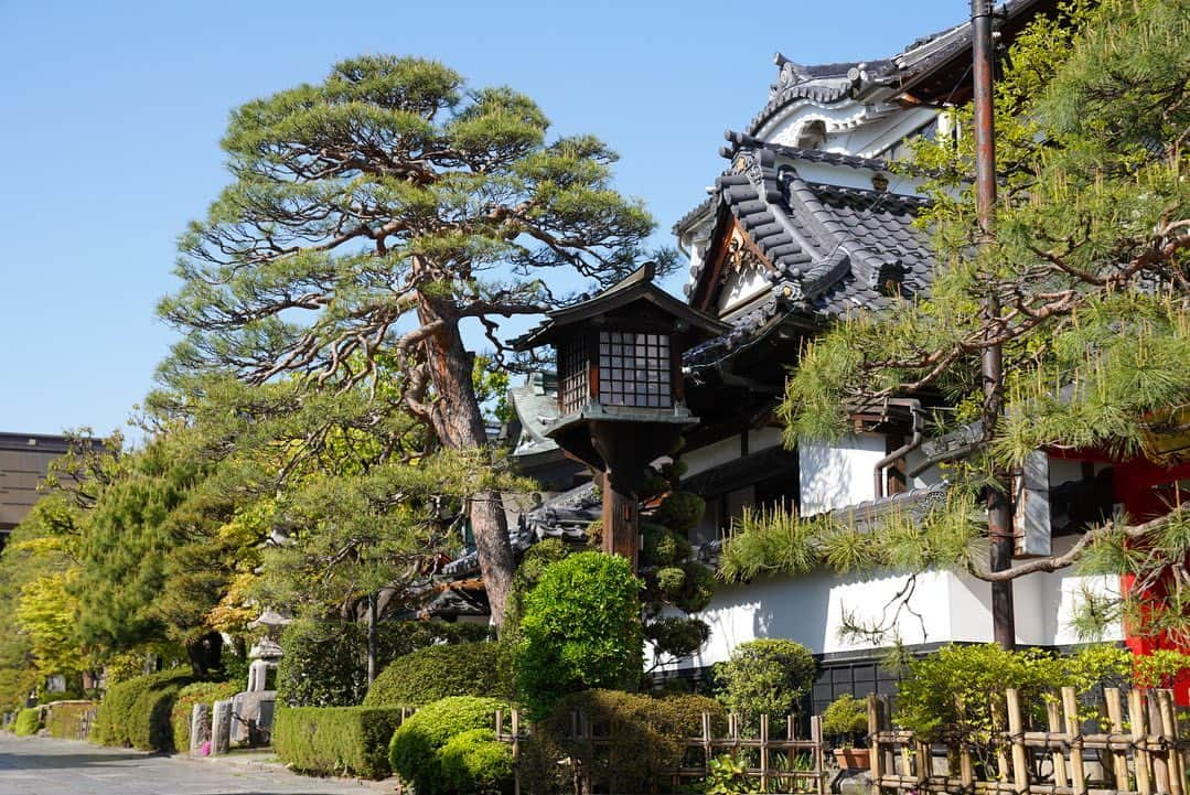 いぶくろ聖志さんのインスタグラム写真 - (いぶくろ聖志Instagram)「善光寺近辺  #japan #camera #photography  #nagano #temple   #日本　#カメラ　#写真　 #長野　#善光寺」4月29日 9時09分 - b.smpl