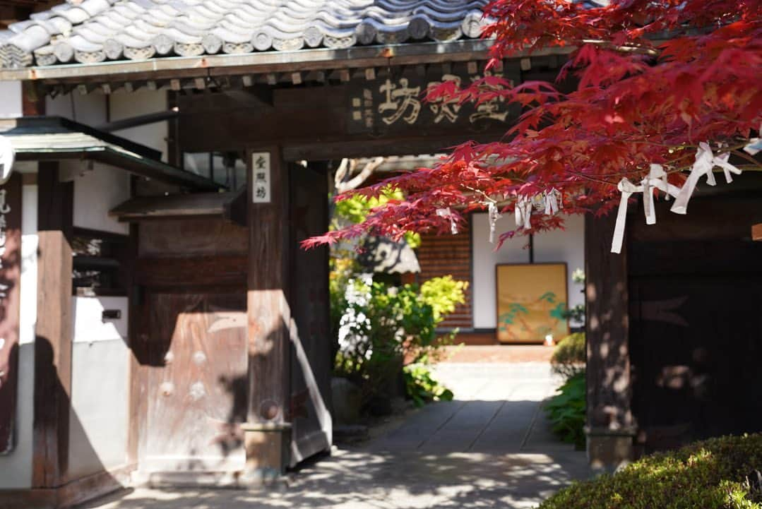 いぶくろ聖志さんのインスタグラム写真 - (いぶくろ聖志Instagram)「善光寺近辺  #japan #camera #photography  #nagano #temple   #日本　#カメラ　#写真　 #長野　#善光寺」4月29日 9時09分 - b.smpl