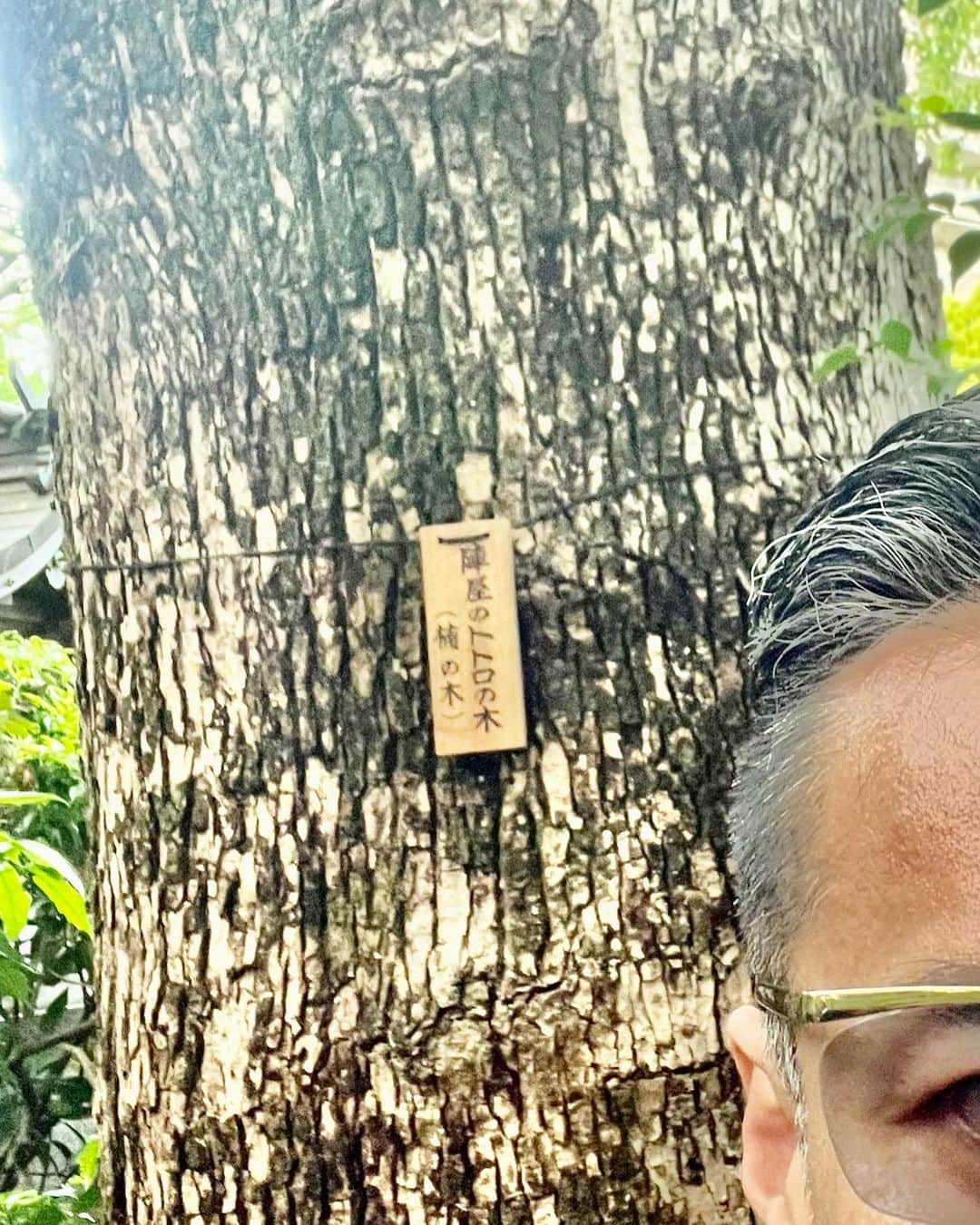 山口祥行のインスタグラム：「この木を見て作ったらしいw 本気か⁉️」
