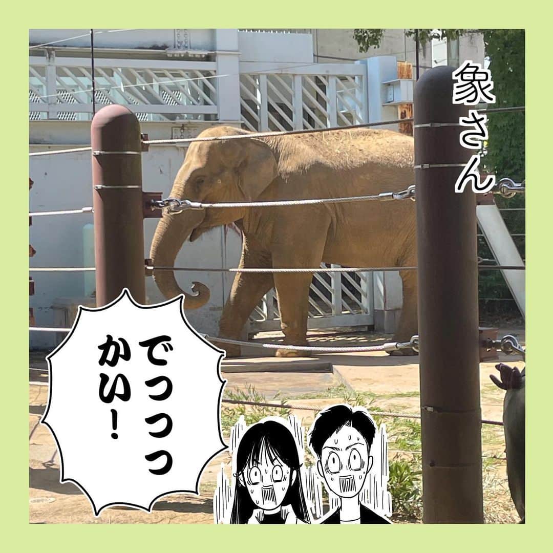 おかゆさんのインスタグラム写真 - (おかゆInstagram)「. そして夫は黒くなった。 . #漫画 #マンガ #日常 #日常漫画 #エッセイ #コミックエッセイ  #エッセイ漫画 #夫婦 #家族 #夫  #上野動物園 #動物園 #ゴリラ」4月29日 17時30分 - yu_yu_yucco