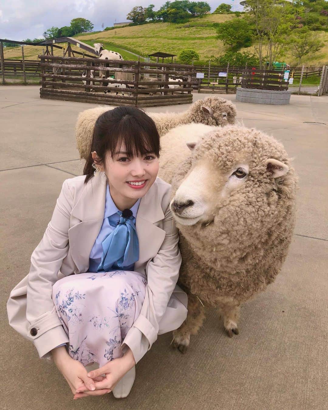 谷尻萌さんのインスタグラム写真 - (谷尻萌Instagram)「おはようさん^ ^🐏💕 今朝は千葉県富津市にある マザー牧場からお伝えしました！！  沢山の可愛いもふもふな羊さん達が 近くに来てくれてテンションが上がりました❣️  餌やりを体験させてもらいましたよ♪  私の手をべろ〜んっと舐められました笑笑 そんなにお腹空いていたのかい？🤣  幸せすぎる中継でした！！☺️  みなさんも素敵なゴールデンウィークになりますように🍀 お仕事の方も応援しています💚  #マザー牧場 #めざましどようび」4月29日 10時03分 - tanijiri_moe