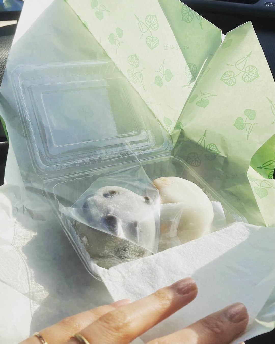 小谷実由のインスタグラム：「京都の光り輝く思い出大福。また食べたい。。🦭」