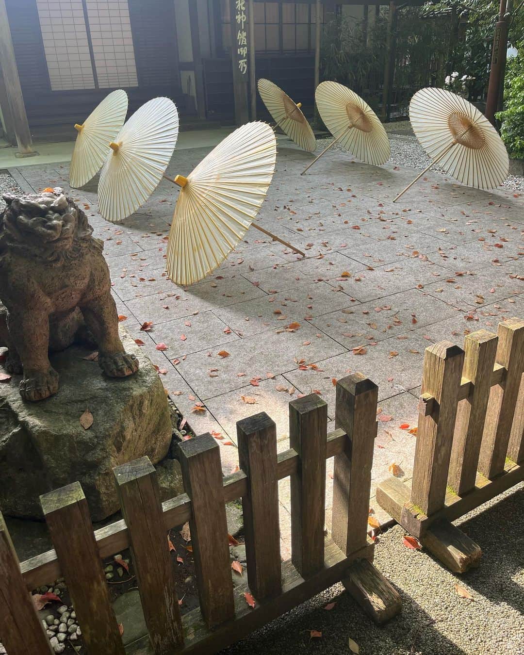 福本敦子のインスタグラム：「4月の駆け足京都2泊3日🏃💦 写真にないけど貴船神社付近のカフェで食べた最中アイスの味が忘れられない…🤤水の神様の近くで食べるスウィーツは格別と学ぶ。🍡 天気がよい連休で良かった！よいGWを💚 #kyoto」