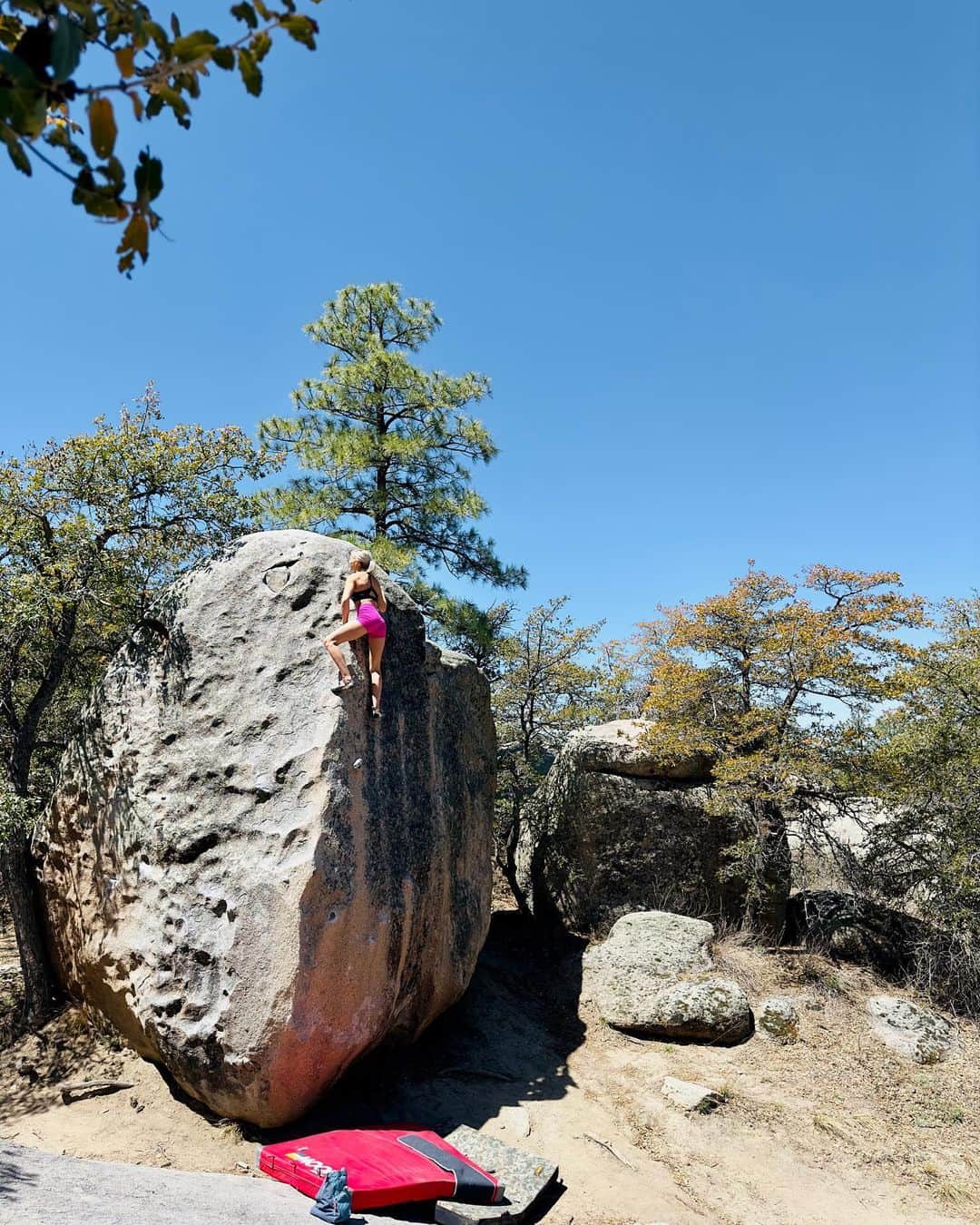 シエラ・ブレア・コイルのインスタグラム：「Enjoying a nice day at Groom🌲 🌬️   The Bolt Arete, V0 Groom Creek, AZ  📷: @groomcreekbouldering   @moonclimbing │ @moonclimbingwomen」
