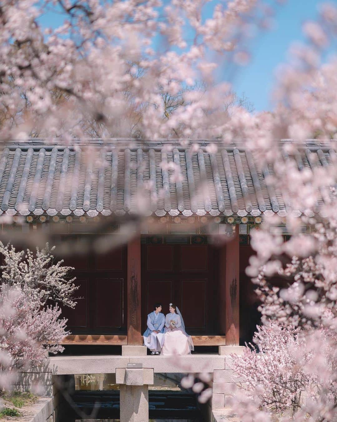 インソクのインスタグラム：「작가님 ver 창경궁 스냅🌸」