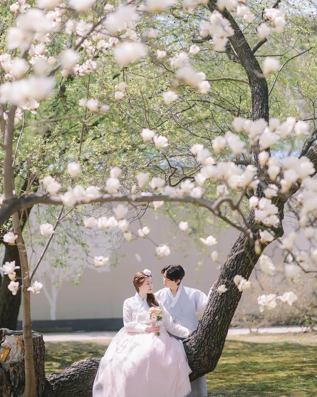 インソクさんのインスタグラム写真 - (インソクInstagram)「작가님 ver 창경궁 스냅🌸」4月29日 10時49分 - soku_sokus