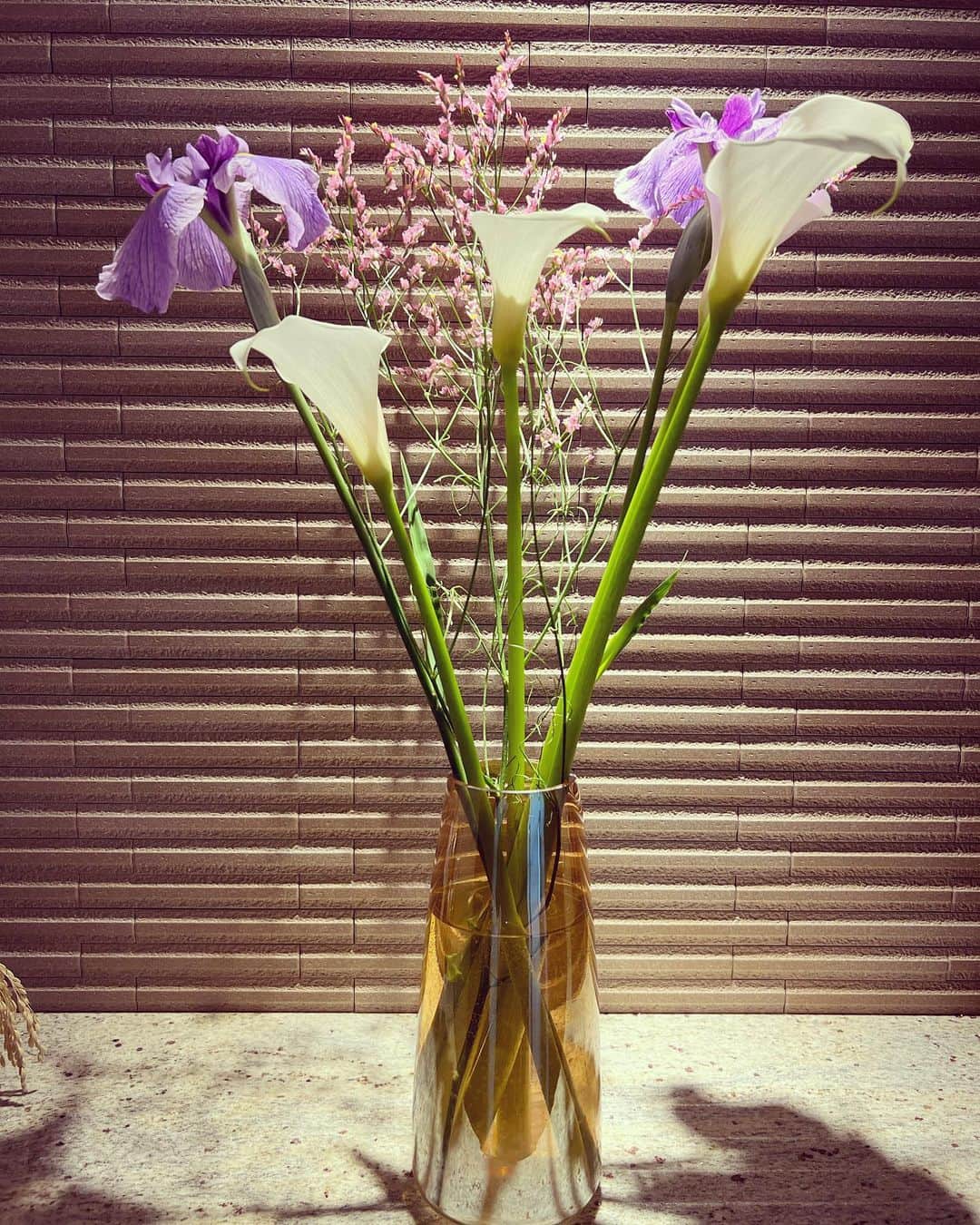 田中理恵のインスタグラム：「綺麗すぎるっ💜🤍💗💚」