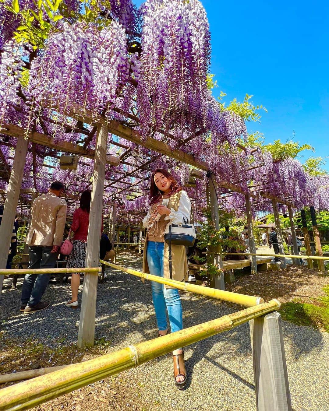 本間紗理奈さんのインスタグラム写真 - (本間紗理奈Instagram)「北方文化博物館の大藤棚🫧 とっても綺麗でした🥰 樹齢150年。 開花は5月上旬とのことだけど 今年は早いねー💜  #北方文化博物館 #大藤棚 #新潟県 #新潟市江南区 #豪農の館北方文化博物館  #新潟観光  #新潟観光スポット」4月29日 11時29分 - sarinaaaaa_h