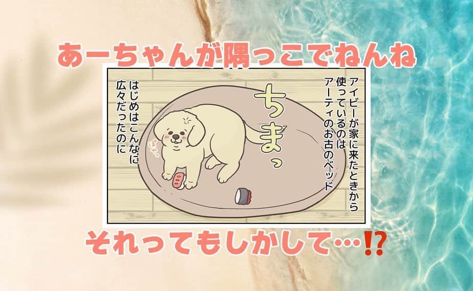 餅付きなこのインスタグラム：「このプラスチックベッドは先代のアーティもパピーの時に使っていたんですが、アイビーもただいま愛用してます☺️  アイビーも大きくなってきたので、そろそろ大人用ベッドを出そうかなと思っているのですが、いろんなことを想像しちゃってなかなか踏み切れず…。  アイビーの周りのものはアーティとの思い出がいっぱいで、いつもアーティの存在を感じています☺️  #漫画 #イラスト #犬漫画 #絵日記 #エッセイ漫画 #コミックエッセイ#マンガ #日常漫画 #ゴールデンレトリバー #goldenretriever #ゴールデンレトリーバー #犬と生活 #4コマ漫画 #犬 #dog #dogstagram #instadog #わんこ #ふわもこ部 #いぬ #ilovemydog #いぬのきもち #大型犬 #大型犬のいる生活 #まめとアーティ #餅付きなこ #おさんぽですし！」