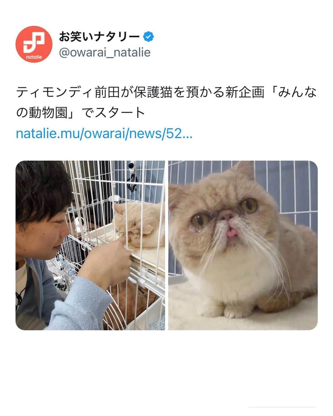 のインスタグラム：「今夜4/29 日本テレビ 嗚呼!!みんなの動物園　19:00～20:54 保護猫預かる企画に出してもらってます。 是非見てね！」