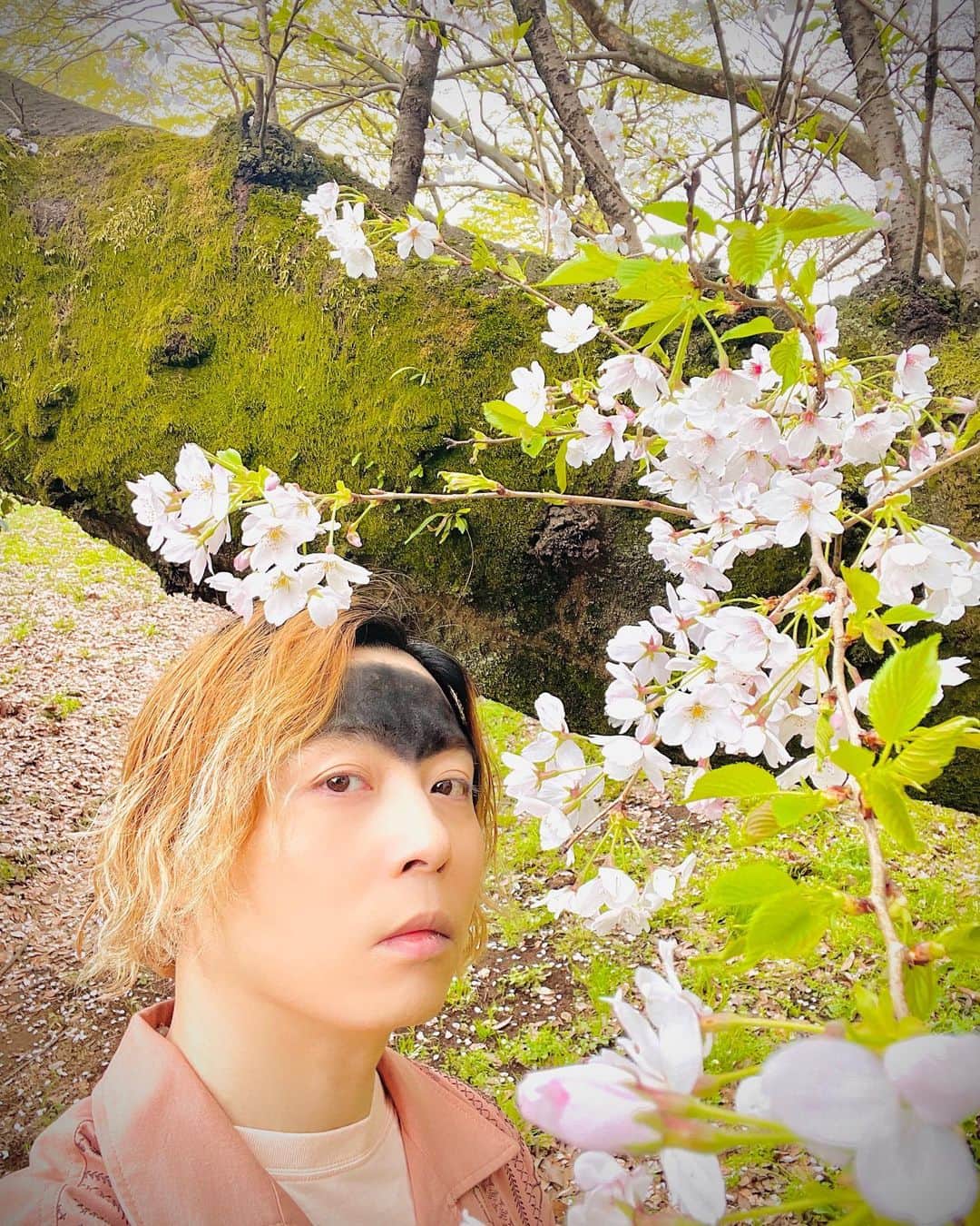 のインスタグラム：「#ENDRECHERI  #眉毛 #eyebrows」