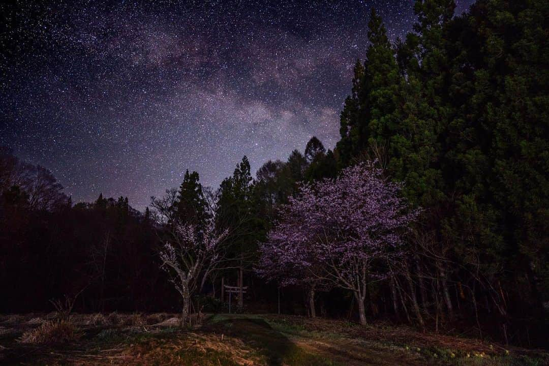 山人さんのインスタグラム写真 - (山人Instagram)「古民家×桜×星と撮りたくて夜にお邪魔しました😅 ちゃんとフェンスの外側ですよ！笑 こちらのツキザワの家ギャラリーでゴールデンウィーク期間中展示があるそうです！ 古民家というだけでも高揚するのですが中にはアートがたくさん！ 砂ゆっこの近くなのでもしよかったら砂風呂もセットで遊びに来てください😋 西和賀町の #忙中閑 というカフェが出前コーヒーするそうですよ〜✨  #古民家カフェ #古民家ギャラリー #ツキザワの家  #西和賀 #無地内 #安ヶ沢 #ほっとゆだ駅 #あやめ公園 #前向きに #山人 #yamado #桜 #四季 #春 #spring  #宝 #自然  #盛岡市 #お花見 #東北の桜 #天の川 #夜桜 #星景写真 ↓通販サイトはこちら↓ https://shop.yamado.co.jp/」4月29日 12時50分 - yamado.official