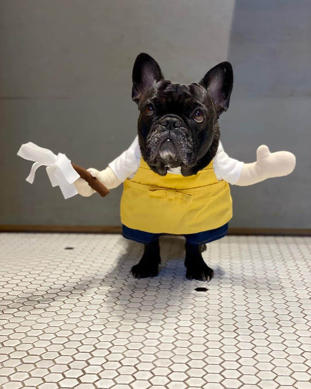 大蔵さんのインスタグラム写真 - (大蔵Instagram)「Enjoy your long holidays🤙🏽🤙🏽🤙🏽 . 素敵やーんなGWを🤙🏽🤙🏽🤙🏽 . #frenchie #frenchbulldog  #frenchielove #frenchiegram  #フレブル #フレンチブルドッグ  #ウタ #モニ #ウタモニ #ゆっくり休むのも仕事☺️」4月29日 13時01分 - ketsume_daizo