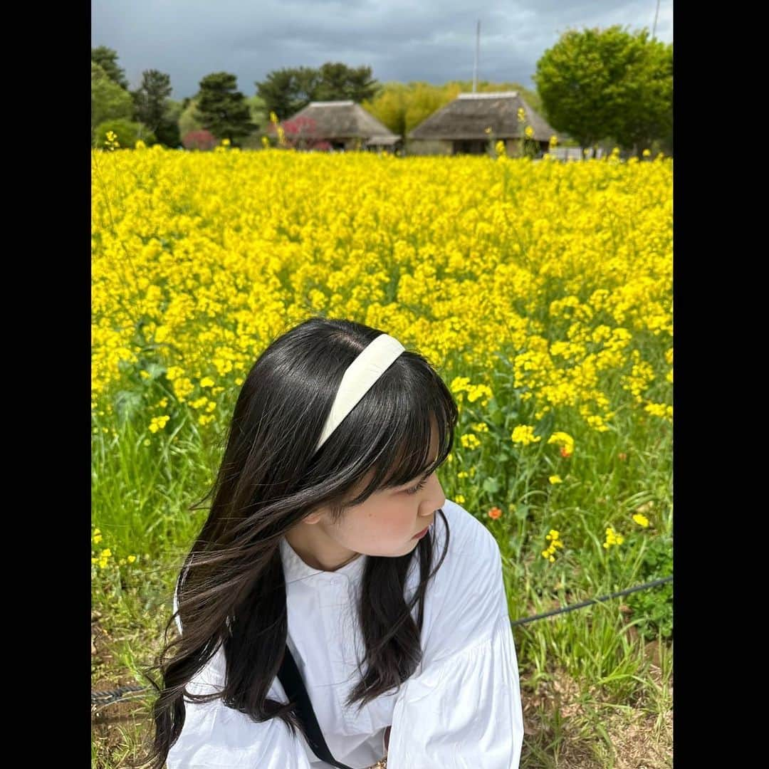 仲吉玲亜さんのインスタグラム写真 - (仲吉玲亜Instagram)「.  お花に合わせて珍しくかわいらしい洋服を着ました🌼  菜の花とネモフィラがとても綺麗でした☺︎  #ネモフィラ #ひたち海浜公園 #お花畑」4月29日 13時19分 - reianakayoshi_official