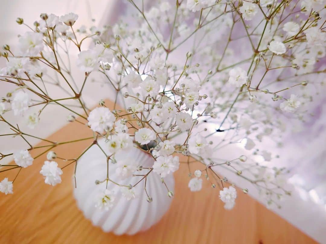葉山いくみさんのインスタグラム写真 - (葉山いくみInstagram)「お花の中でかすみ草が一番すき⚘.。」4月29日 13時20分 - hayamaikumi