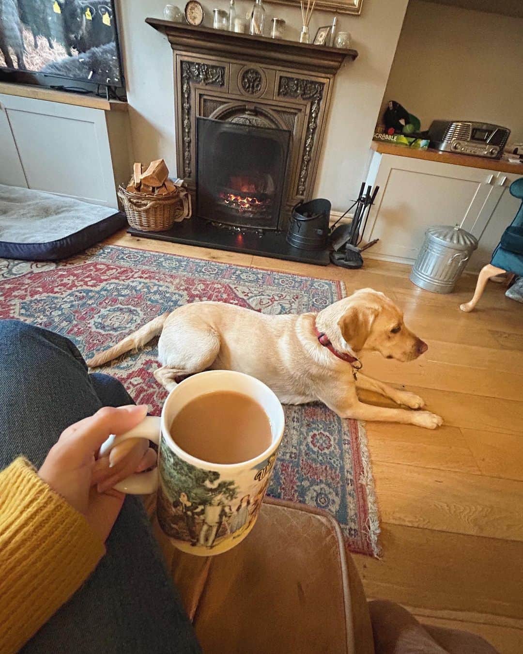 寺川里奈のインスタグラム：「まだまだ寒い日が続くイギリス。 暖炉の香りとダフニィ🐕に癒されるひととき☕️  日本はGWですね。 わたしは今日から三連休です🪄  みなさま良いホリデーを✨」