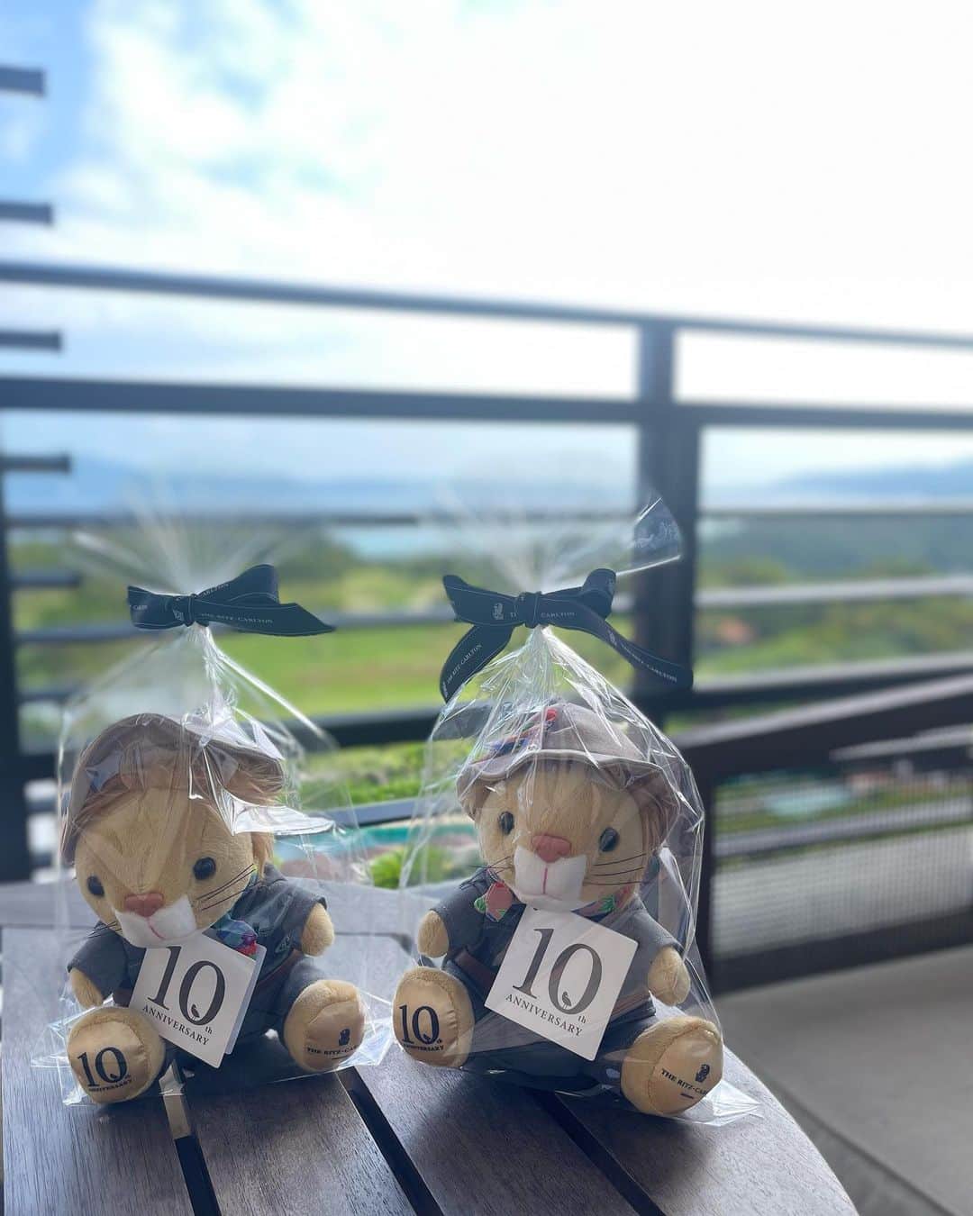 MOEさんのインスタグラム写真 - (MOEInstagram)「開業10周年記念のぬいぐるみが可愛すぎてお迎えしました🦁🦁🤎🎁  最初は男の子だけお迎えしたんですけど、やっぱり女の子もってなって、帰る日にホテルのブティックへ。  お家に飾るのが楽しみ🫶🏻  #ritzcarltonokinawa  #リッツカールトン沖縄  #10thanniversary  #🦁 #ぬいぐるみ」4月29日 23時21分 - m0e_1i7_