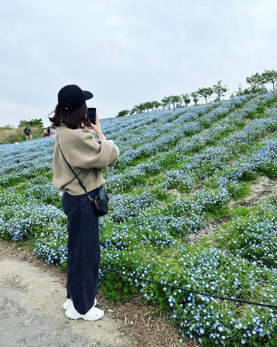 武田訓佳さんのインスタグラム写真 - (武田訓佳Instagram)「💙🤍 ・ ネモフィラ祭り2023 @まいしまシーサイドパーク ・ ・ 4月最終週の平日、am🫧 この日はちょっぴり寒かった🥺 なかなかの人だったけど🚶🏻‍♀️🚶🚶‍♂️🚶🏻‍♀️🚶‍♂️ 比較的スムーズにまわれたかな🤍 ・ ・ 何年も来たい！と思っていたネモフィラ祭り💙 念願かなって嬉しい🥳 ・ 小さい、と、かわいい、の言葉しか知らんの？ってぐらい ずっと言い続けてた。笑笑 ・ ・ ・ #たけだの日常 #たけだの春 #ネモフィラ #ネモフィラ祭り #2023 #舞洲 #まいしまシーサイドパーク  #行きは船で #🛥 #🤍」4月29日 15時52分 - kunika0117