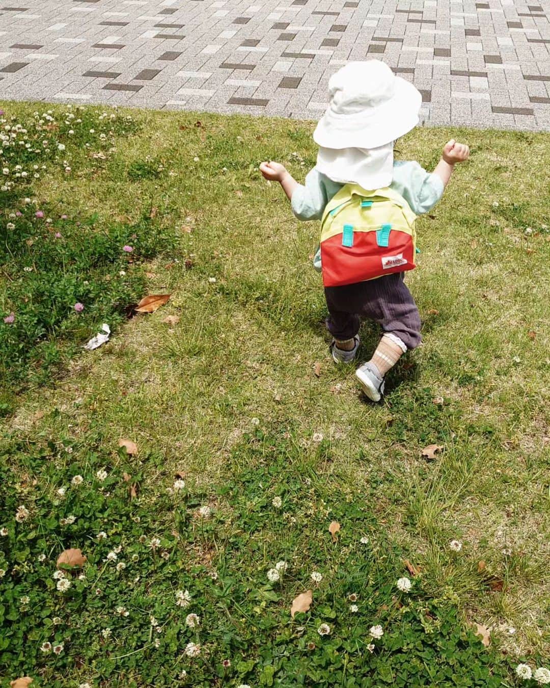 門倉貴史さんのインスタグラム写真 - (門倉貴史Instagram)「家族でピクニックへgo❗❗ けふは強風でした😭  #あかちゃんのいる生活 #ピクニック #お弁当」4月29日 16時13分 - takashikadokura