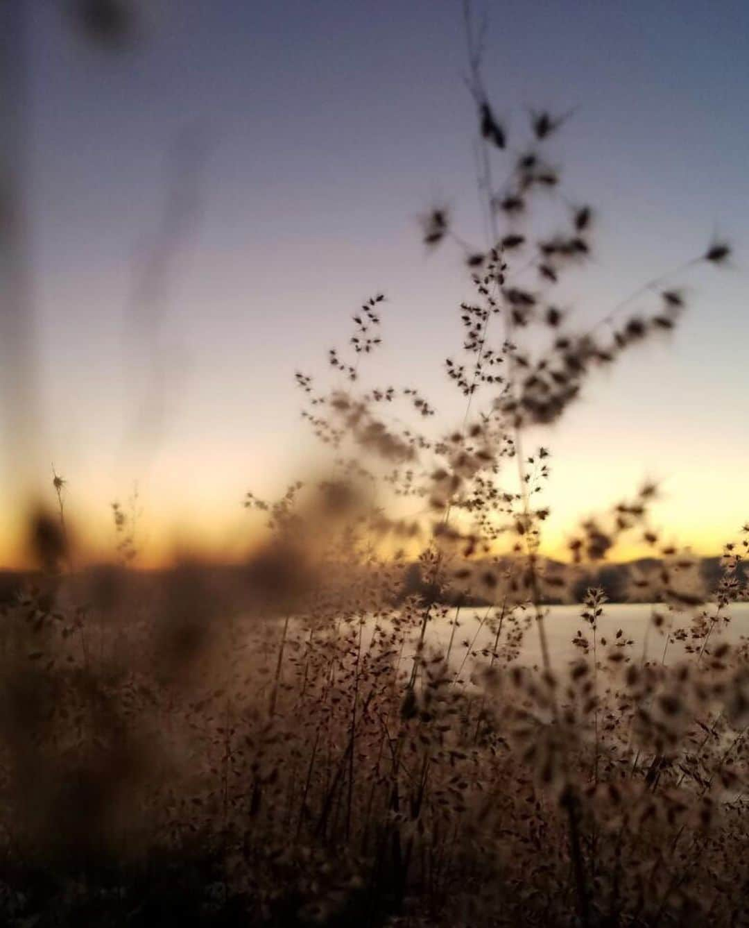 イザベル・ルーカスさんのインスタグラム写真 - (イザベル・ルーカスInstagram)「I’m curious 🐚 how do you  e x t e n d  the gentler moments • to feel more magic • dreaming  spaciousness ..listening  lightness • and respite?」4月29日 16時51分 - isabellucas