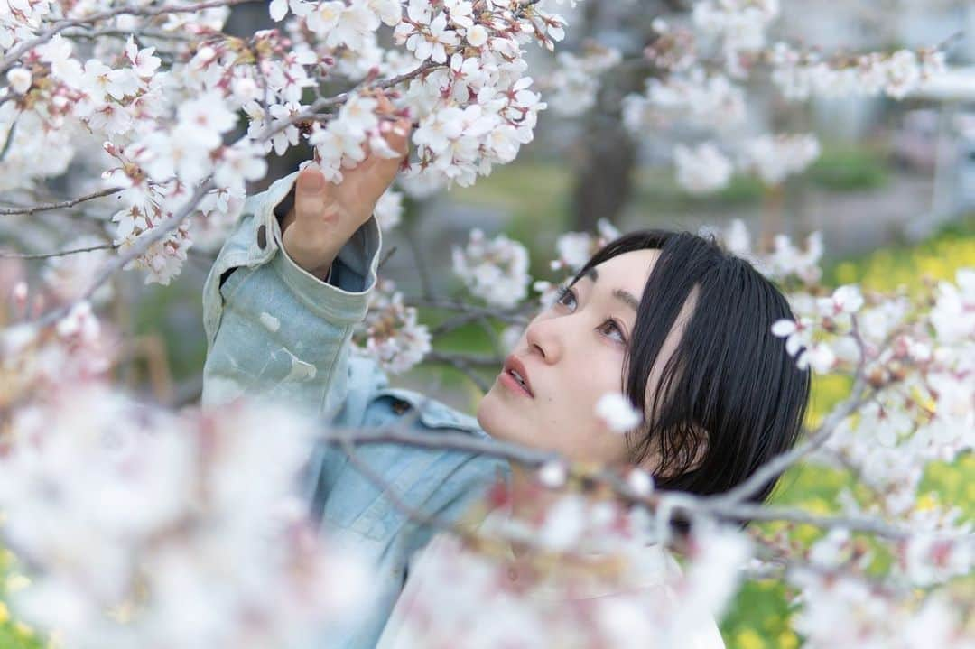 江守沙矢さんのインスタグラム写真 - (江守沙矢Instagram)「ちなみにこの土手は、この時期めちゃくちゃ菜の花のいい香りがします☺️ 菜の花の匂いが強すぎて桜の香りはほとんど感じませんｗ  #熊谷桜堤 #日本桜100選 #日本さくら名所100選  #桜 #sakura #桜と菜の花 #日本の桜 #springflower #springday #kumagaya #ポートレート #portrait #springflower  #japanspring #japanesegirl  #さくら  #photo #photography 　#jalan_sakura2023 #sakuraportraits  #写真に物語を #物語のある写真を撮りたい  #カメラで日常に魔法を  #絵みたいな写真  #カメラ女子 #季節のポートレート #カメラのある生活　#透明感のある世界 #日々是好日　#日常をドラマチックに #日常をきりとる」4月29日 17時30分 - saya_emori