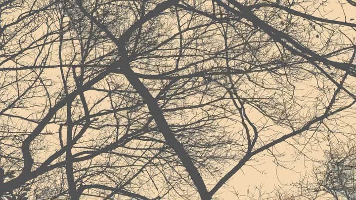 LEO今井のインスタグラム：「Leo Imai - Higashie Nishie (Yosui Inoue cover) Taken from Eastward Westward EP, released digitally on Apr 21, 2023.」